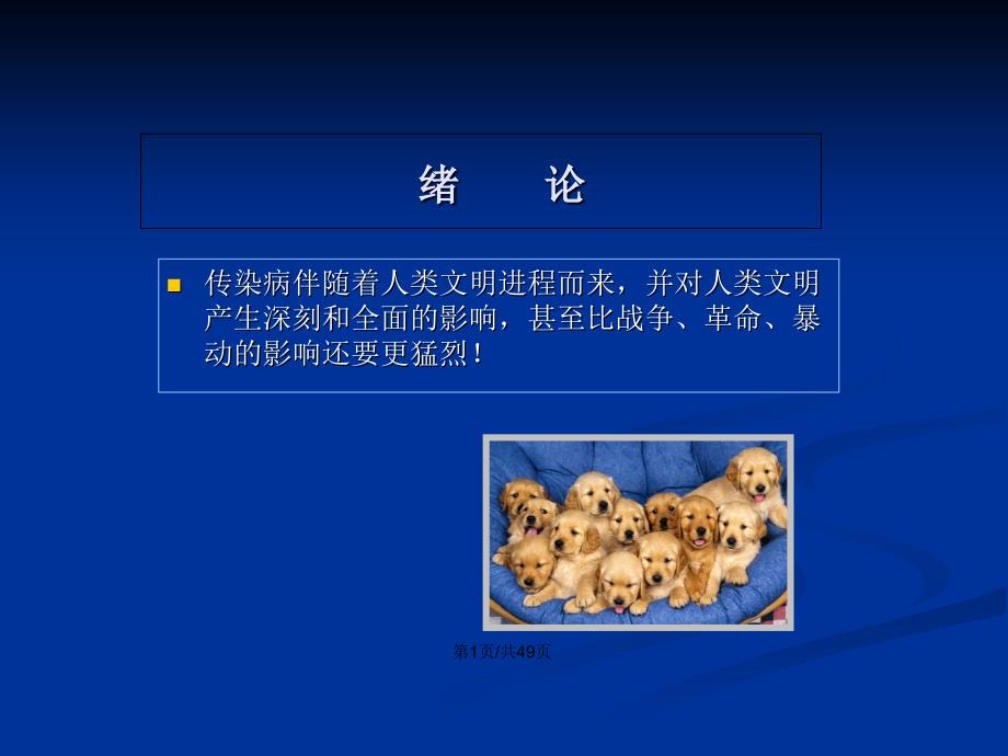 宠物传染病的发生及防疫幻灯片PPT学习教案.pptx_第2页