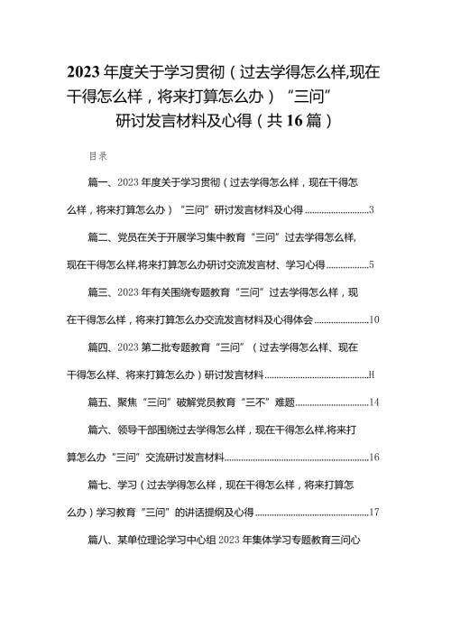 2023关于学习贯彻（过去学得怎么样现在干得怎么样将来打算怎么办）“三问”研讨发言材料及心得（共16篇）.docx