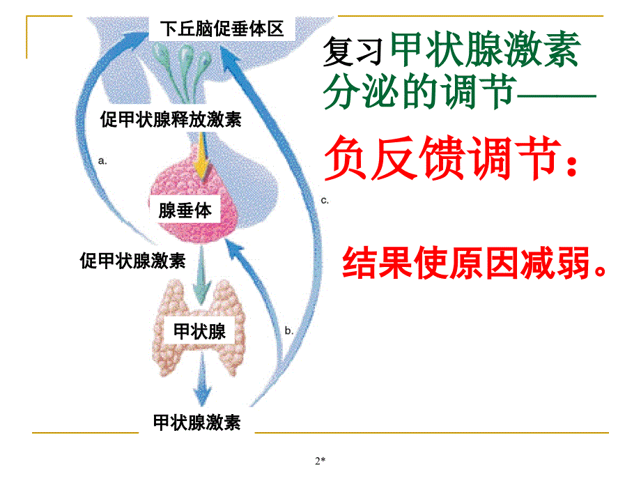 甲状腺功能亢进症.ppt_第2页