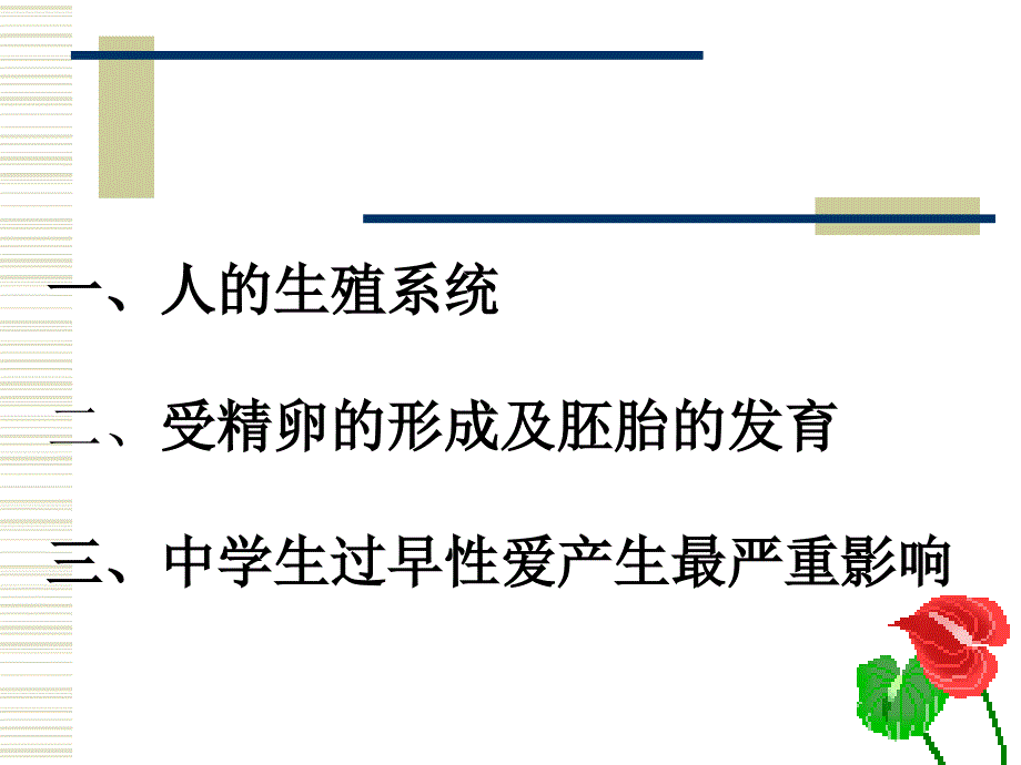 女生生理卫生课件.ppt_第2页