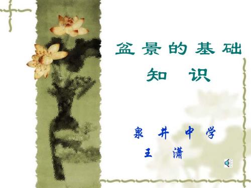 盆景的基础知识PPT课件.ppt