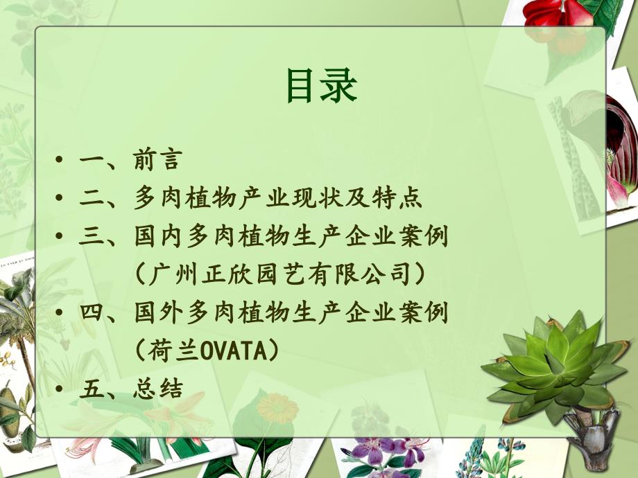 多肉植物生产案例定稿ppt课件.ppt_第2页