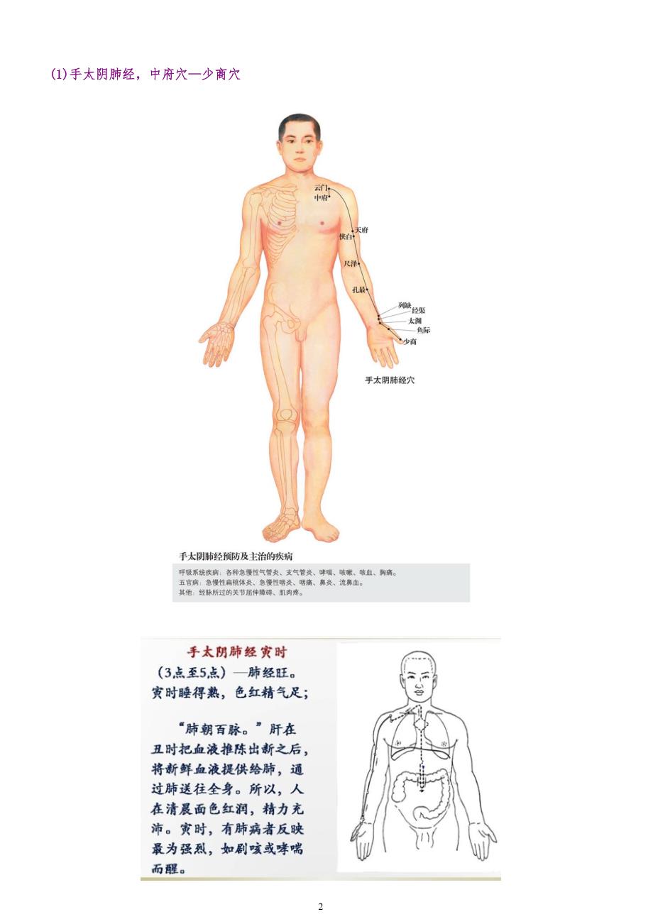 大周天巡行路线附经络穴位图.doc_第2页