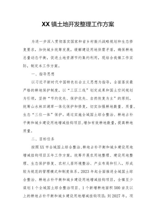 XX镇土地开发整理工作方案.docx
