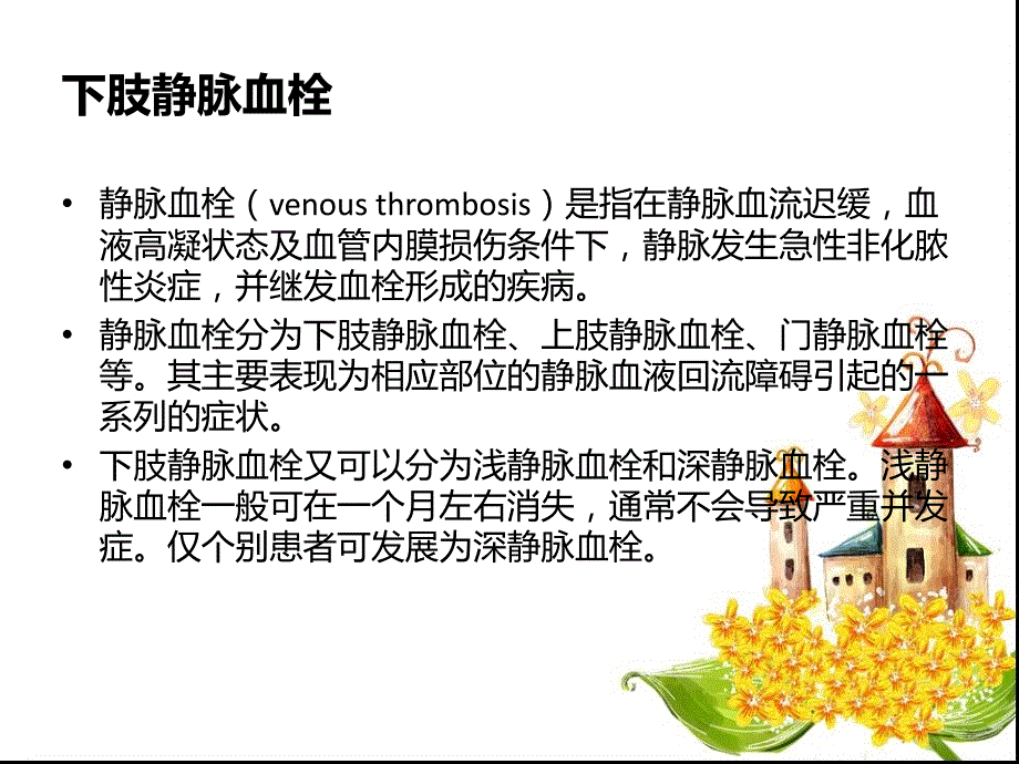 下肢静脉血栓护理PPT课件.ppt_第2页