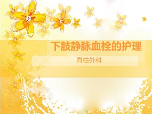 下肢静脉血栓护理PPT课件.ppt