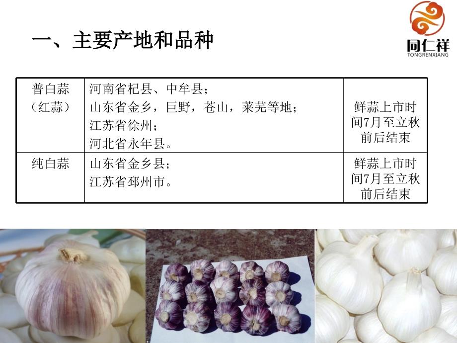大蒜知识讲解PPT.ppt_第2页