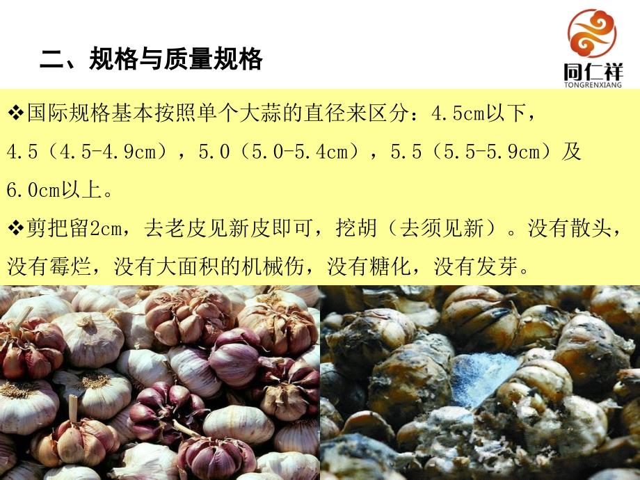 大蒜知识讲解PPT.ppt_第3页