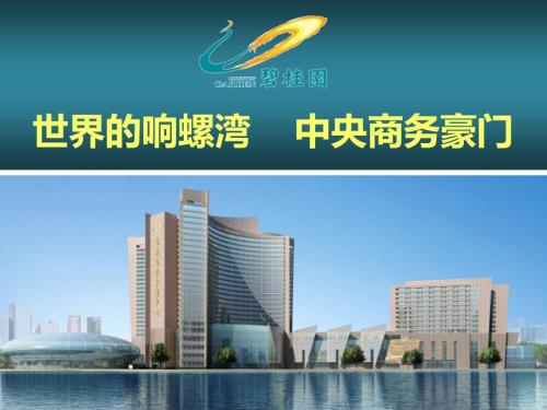天津碧桂园希尔顿酒店德域大厦招商手册.ppt