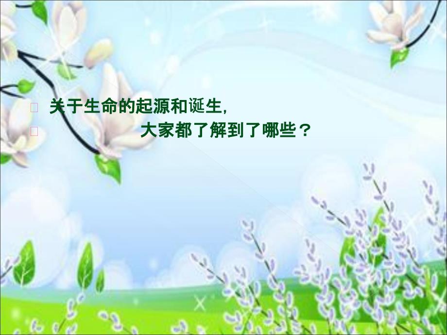 生命的意义课件.ppt_第3页