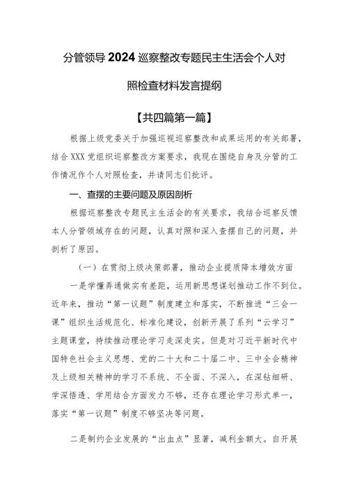 （4篇）分管领导2024巡察整改专题民主生活会个人对照检查材料发言提纲.docx
