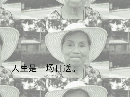 目送读书报告PPT课件.ppt