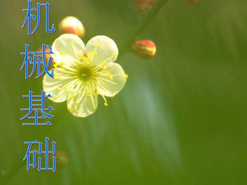 基础蜗杆传动课件.ppt