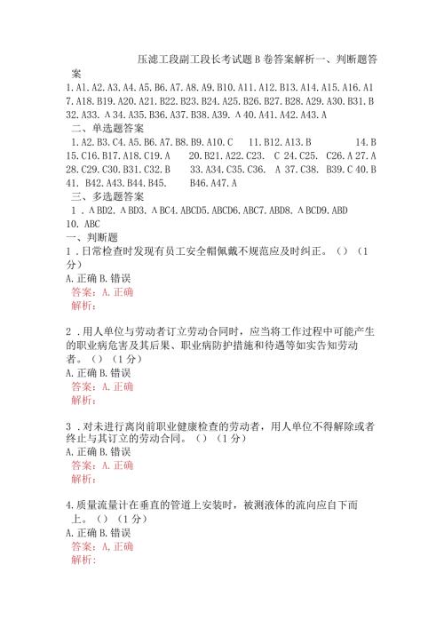 压滤工段副工段长考试题B卷含答案.docx