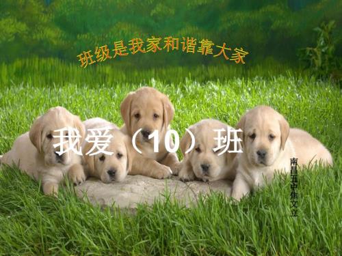 班级团结主题班会.ppt
