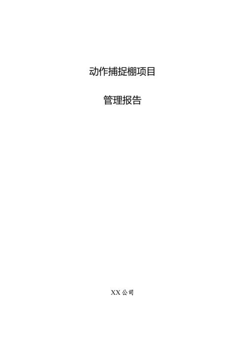 动作捕捉棚项目管理报告.docx