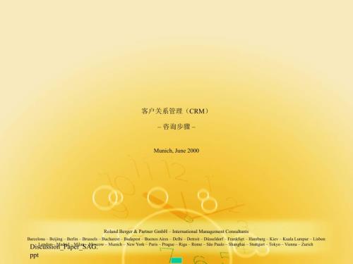客户关系管理CRM咨询步骤中文版罗兰贝格.ppt