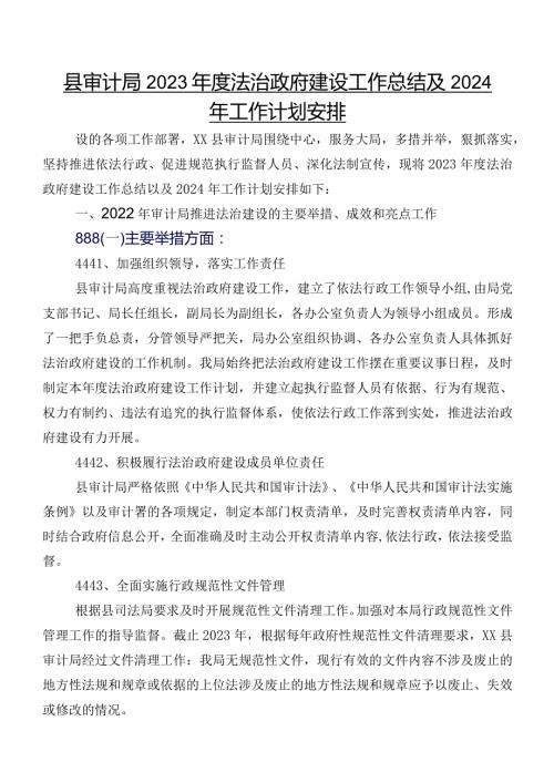 县审计局2023法治政府建设工作总结及2024年工作计划安排.docx
