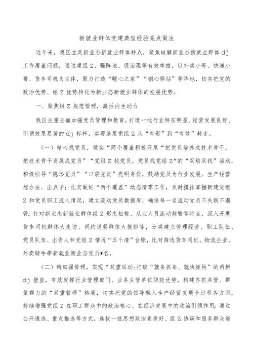 新就业群体党建典型经验亮点做法.docx
