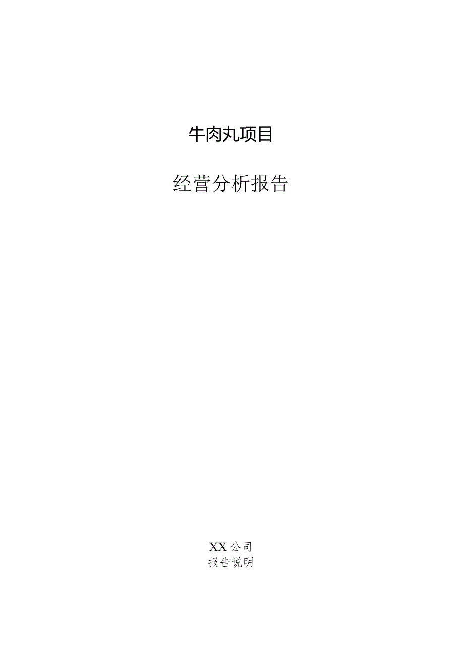 牛肉丸项目经营分析报告.docx_第1页