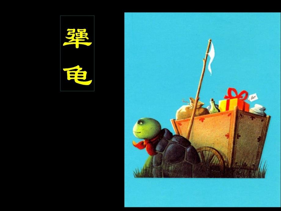 犟龟绘本教学.ppt_第1页