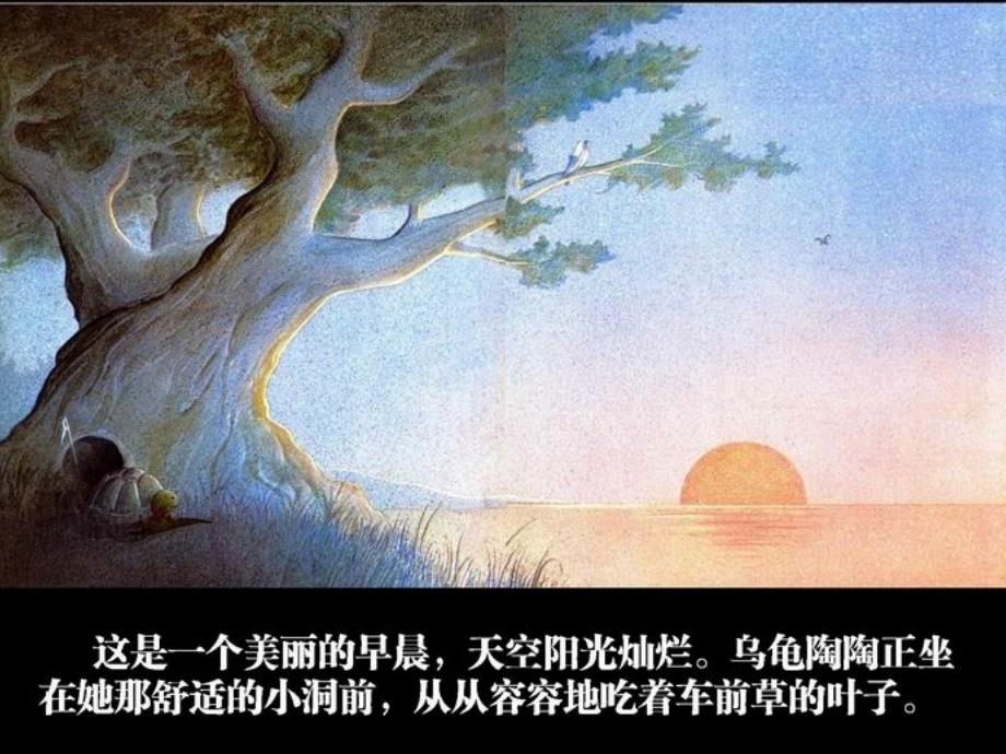 犟龟绘本教学.ppt_第2页