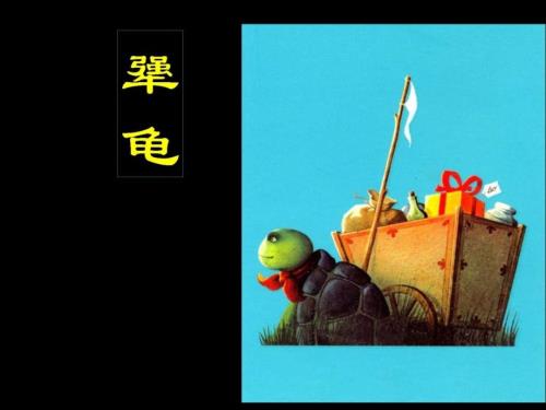 犟龟绘本教学.ppt