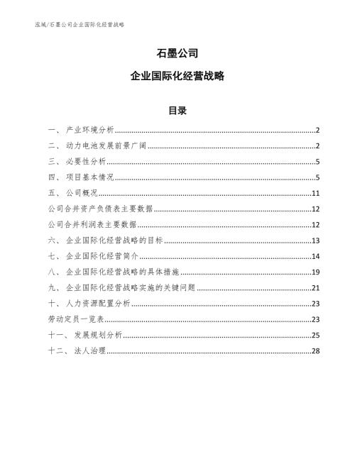 石墨公司企业国际化经营战略参考.docx