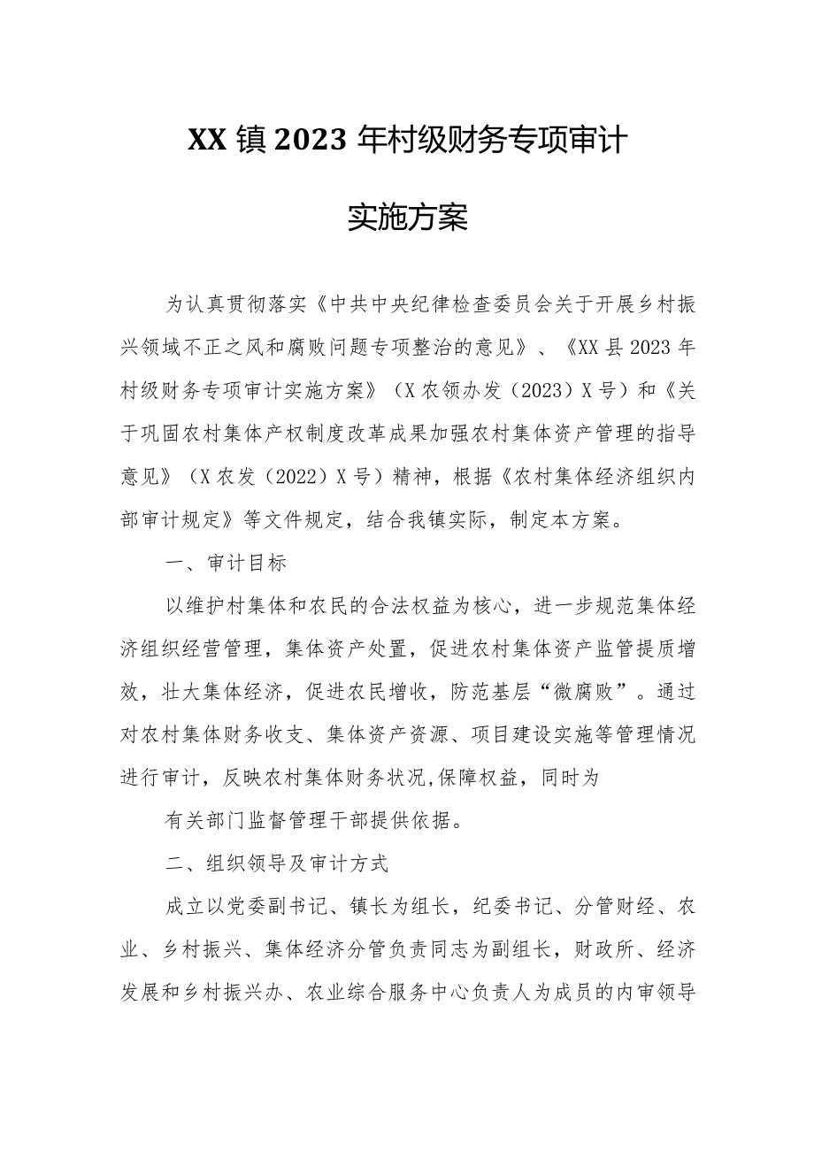 XX镇2023 年村级财务专项审计实施方案.docx_第1页