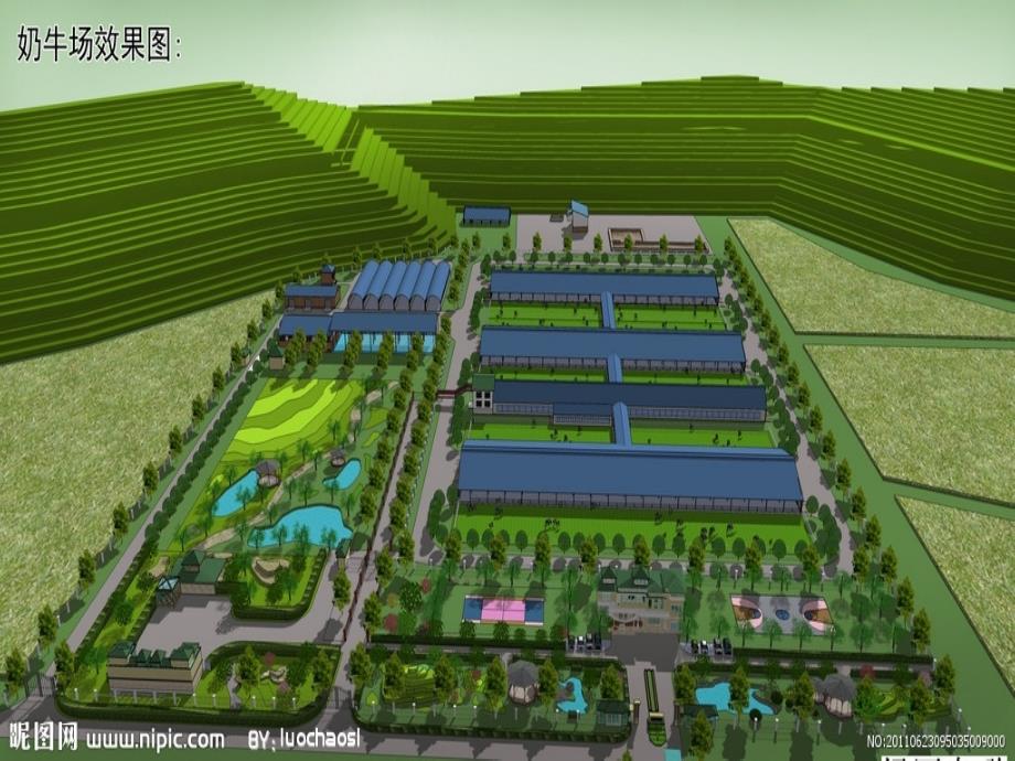 奶牛场设置PPT课件.ppt_第2页