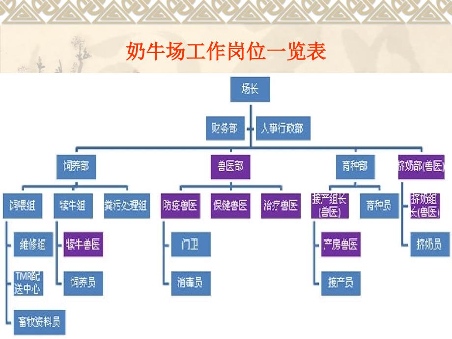 奶牛场设置PPT课件.ppt_第3页
