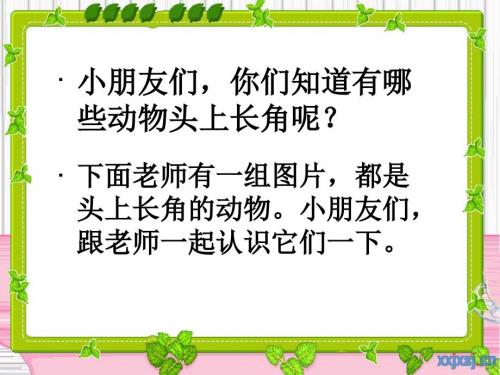 烦恼的大角ppt.ppt