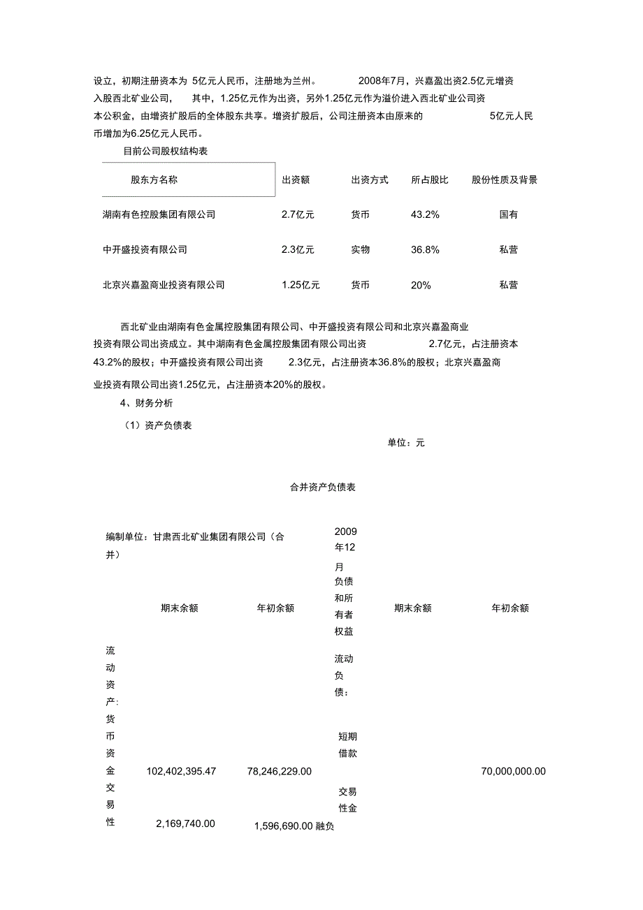 矿业项目的尽职调查报告.docx_第3页