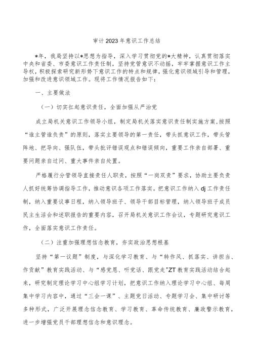 审计2023年意识工作总结.docx