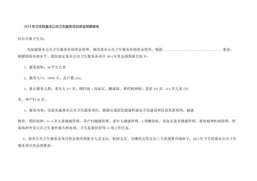 卫生院基本公共卫生服务项目资金预算报告模板总结模板计划模板.docx