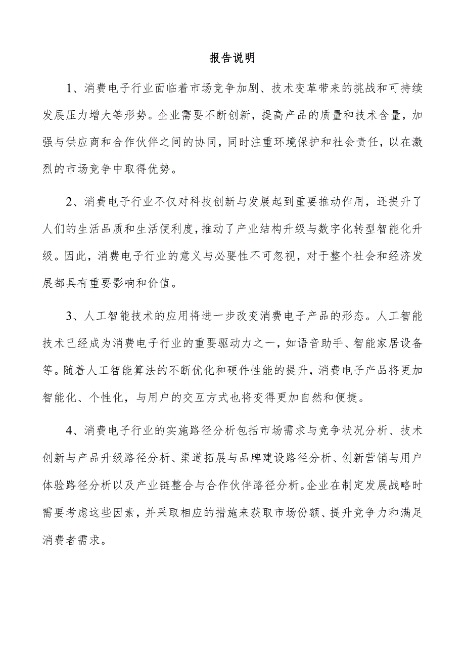 消费电子项目管理报告.docx_第2页