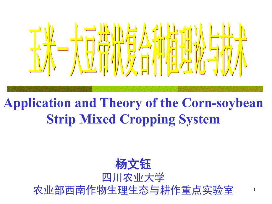 玉米大豆带状复合种植理论与技术PPTminimizer.ppt_第1页