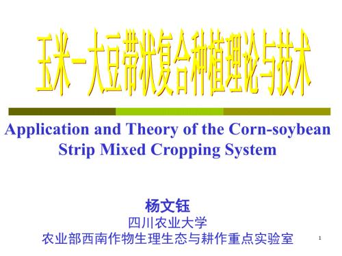玉米大豆带状复合种植理论与技术PPTminimizer.ppt
