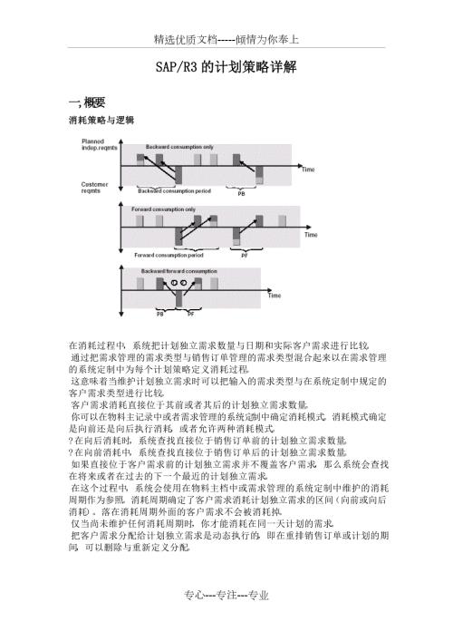 sap计划策略详解共26页.doc