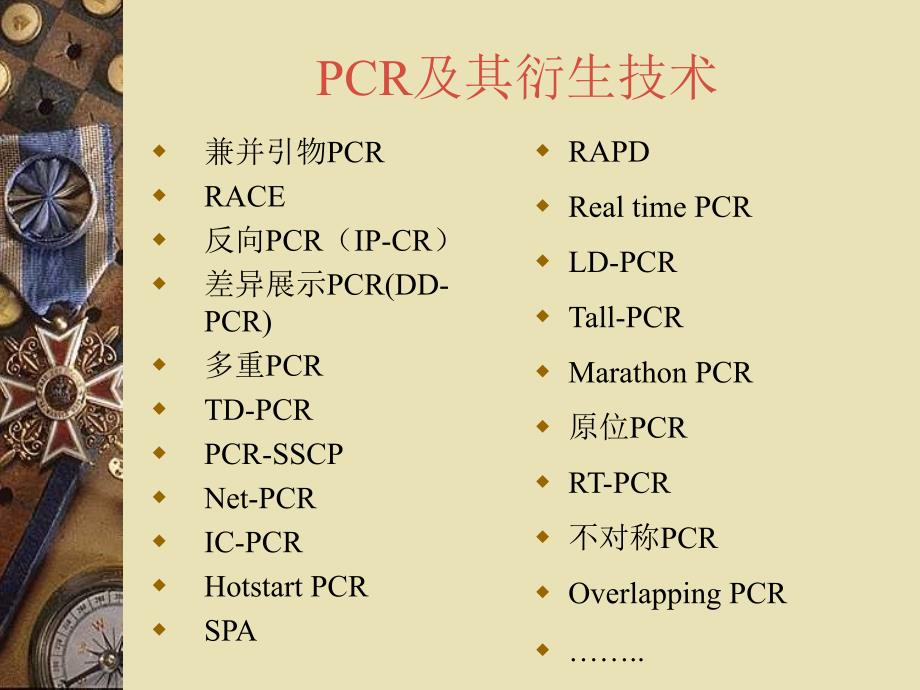 PCR引物设计PPT课件.ppt_第3页