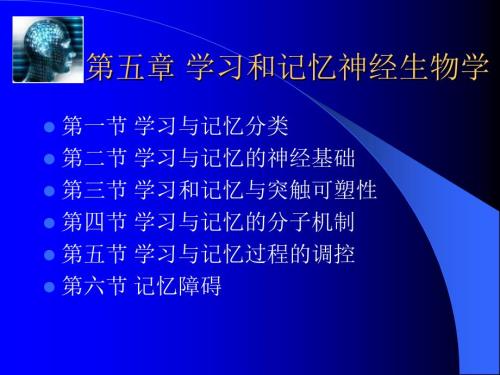 学习和记忆神经生物学.ppt