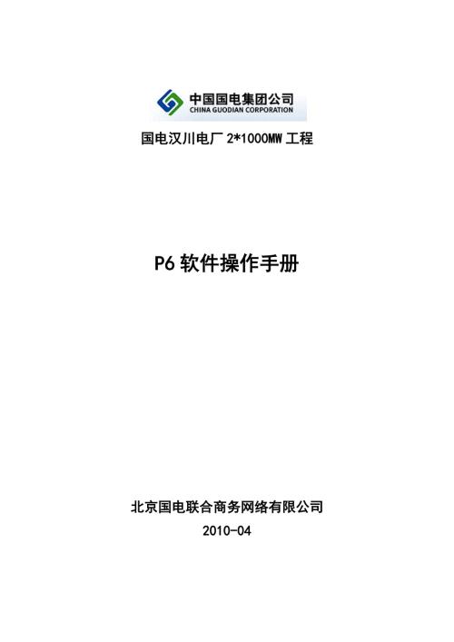 p6软件实际使用教程.doc
