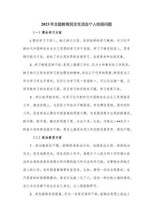 2023年主题教育民主生活会个人检视问题.docx