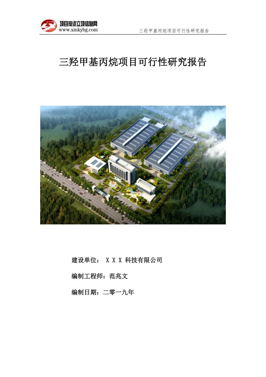三羟甲基丙烷项目可行性研究报告备案实用案例.doc_第1页