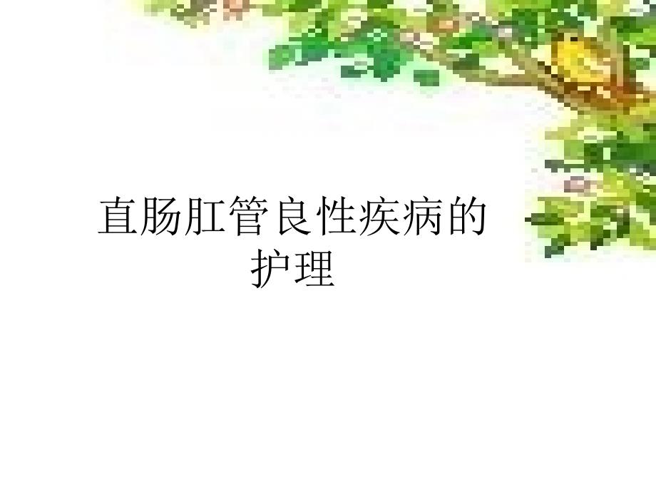 直肠肛管良性疾病的护理.ppt_第1页
