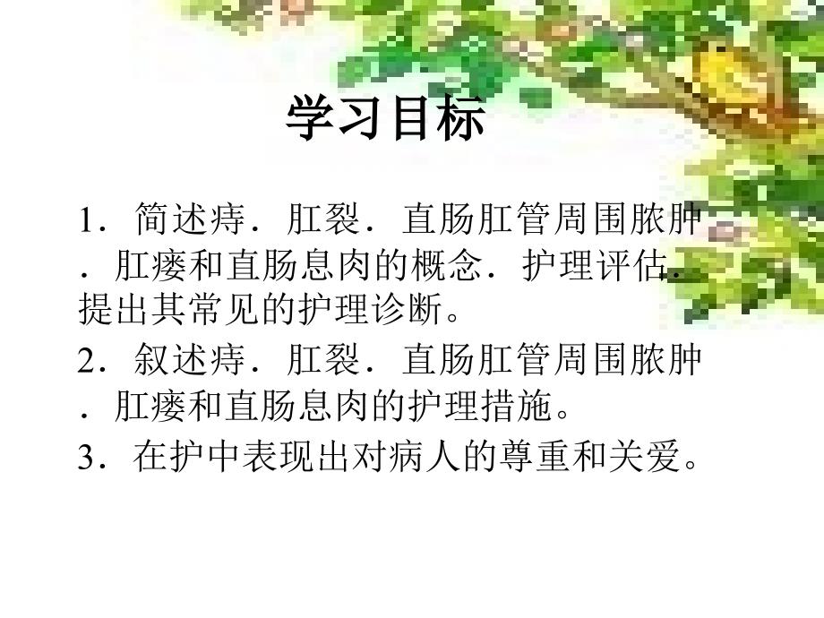直肠肛管良性疾病的护理.ppt_第2页