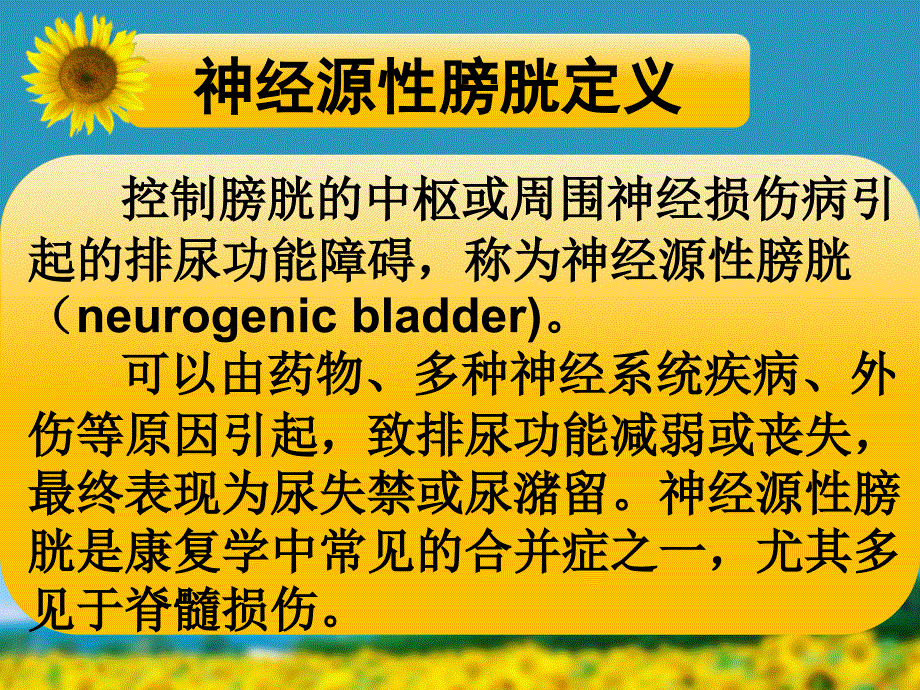 神经源性膀胱护理PPT课件.ppt_第2页