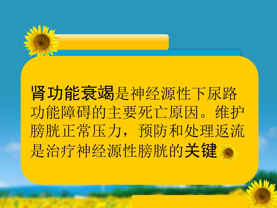 神经源性膀胱护理PPT课件.ppt_第3页