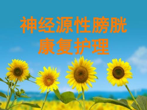 神经源性膀胱护理PPT课件.ppt