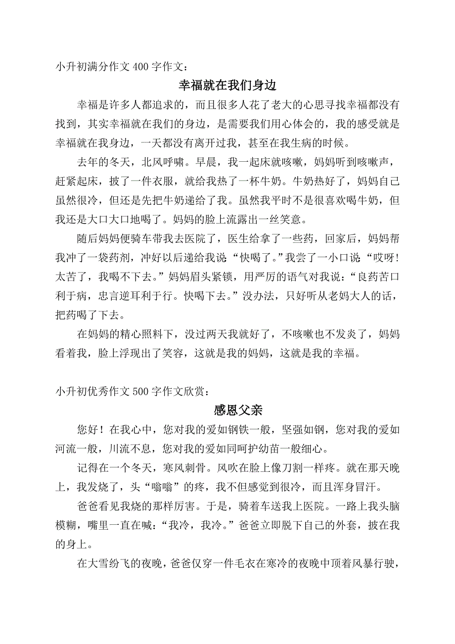 小升初作文范文.doc_第3页